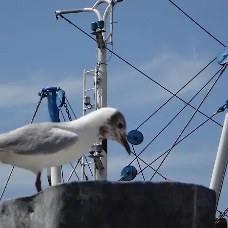 Haus Maren * Krummhörn